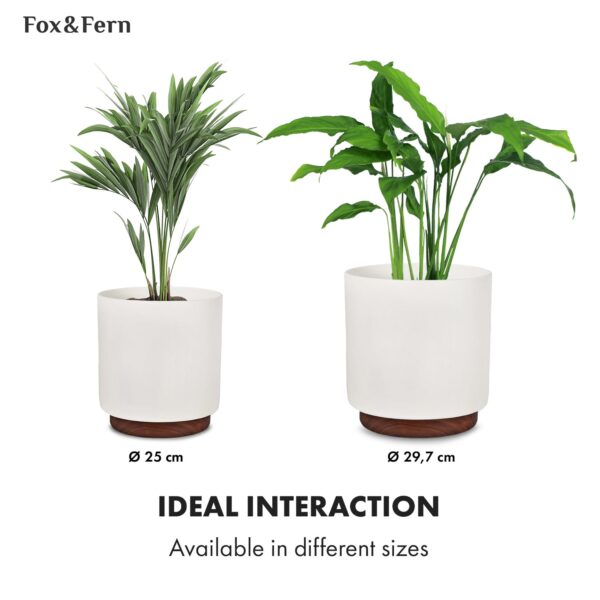Fox & Fern Enspijk, kvetináče, 2 dielna súprava, 2 veľkosti, orechové drevo, Polystone, ručne vyrobené - Image 3